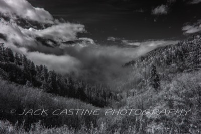  2021 11 02 - Mist at Ben Morton's Overlook - Smoky Mountains NP, Tennessee 