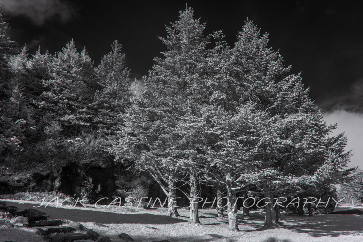  2021 11 02 - Clingman's Dome Road - Smoky Mountains NP, North Carolina 