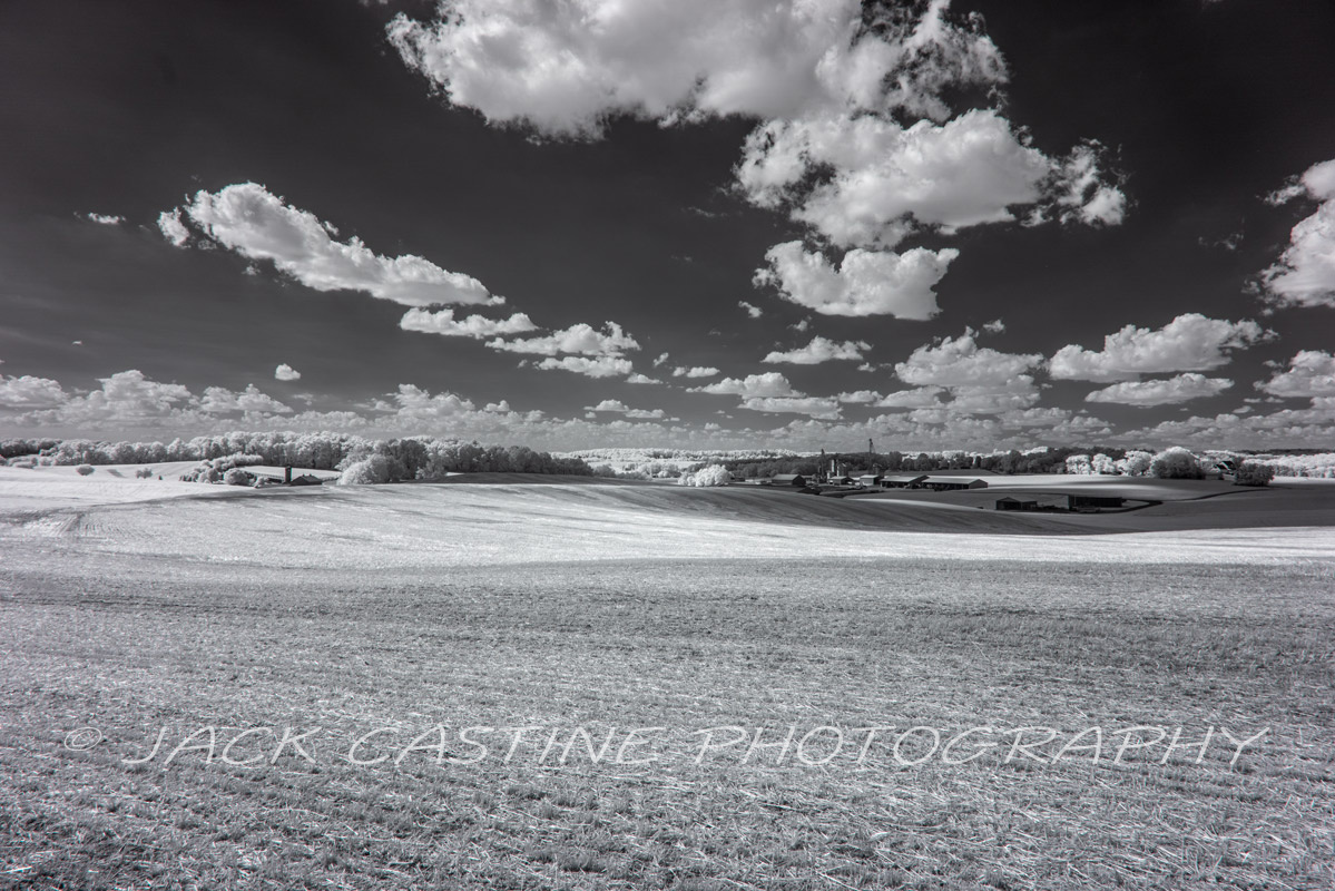  2022 06 25 - Farm - Carroll County, Maryland 