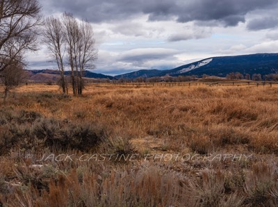  2018 11 03 - Gros Ventre Meadow - Moose, WY 