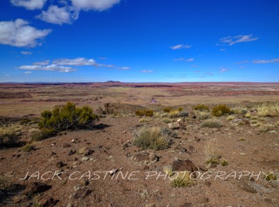  2023 02 24 - Little Lithodendron Wash from Pintado Point  - Petrified Forest NP, Arizona 