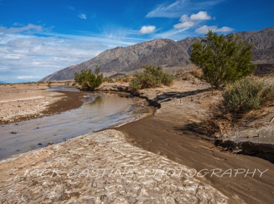  2023 03 06 - Amargosa River  - Death Valley National Park, California 