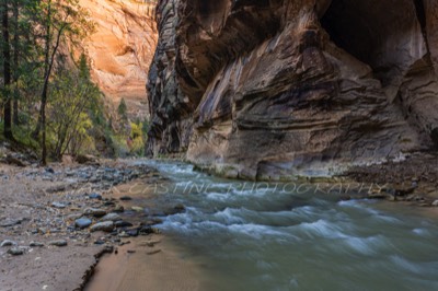  2016 11 09 - The Narrows of the Virgin River - Zion NP,  Springdale, UT 