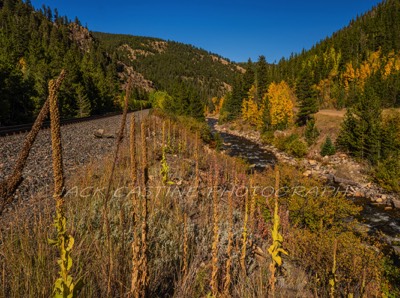  2018 09 15 - South Boulder Creek and CO 16 - Rollinsville, CO 