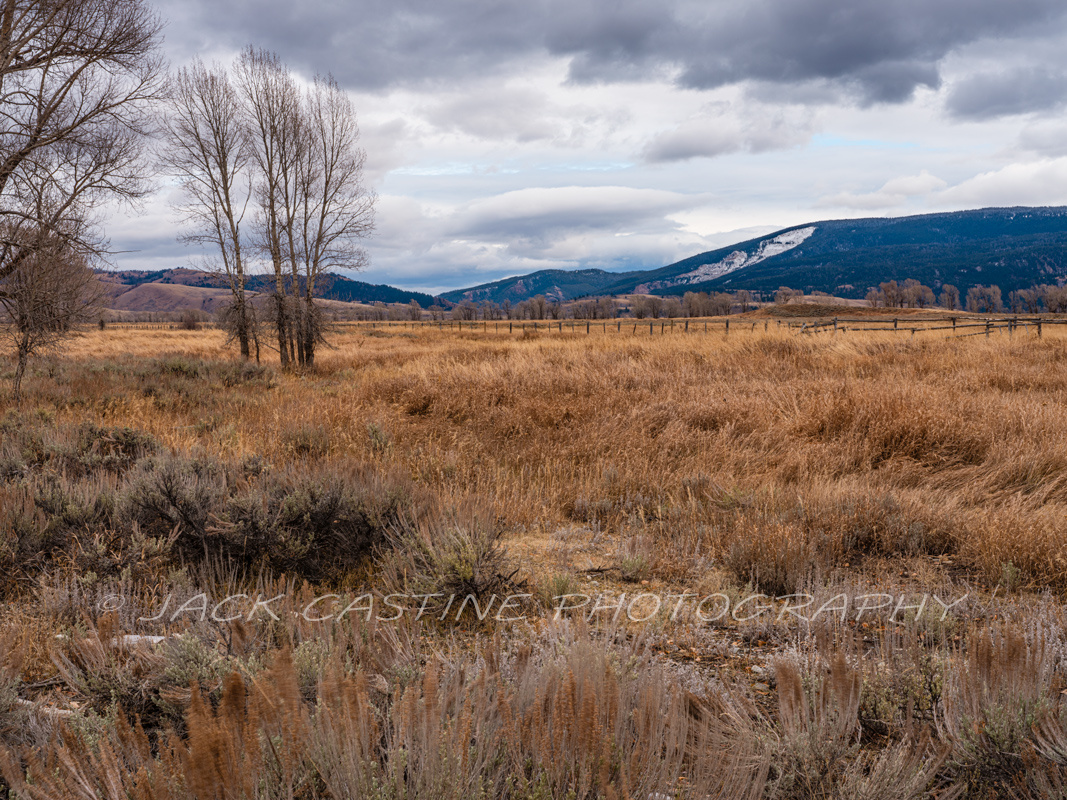 2018 11 03 - Gros Ventre Meadow - Moose, WY 