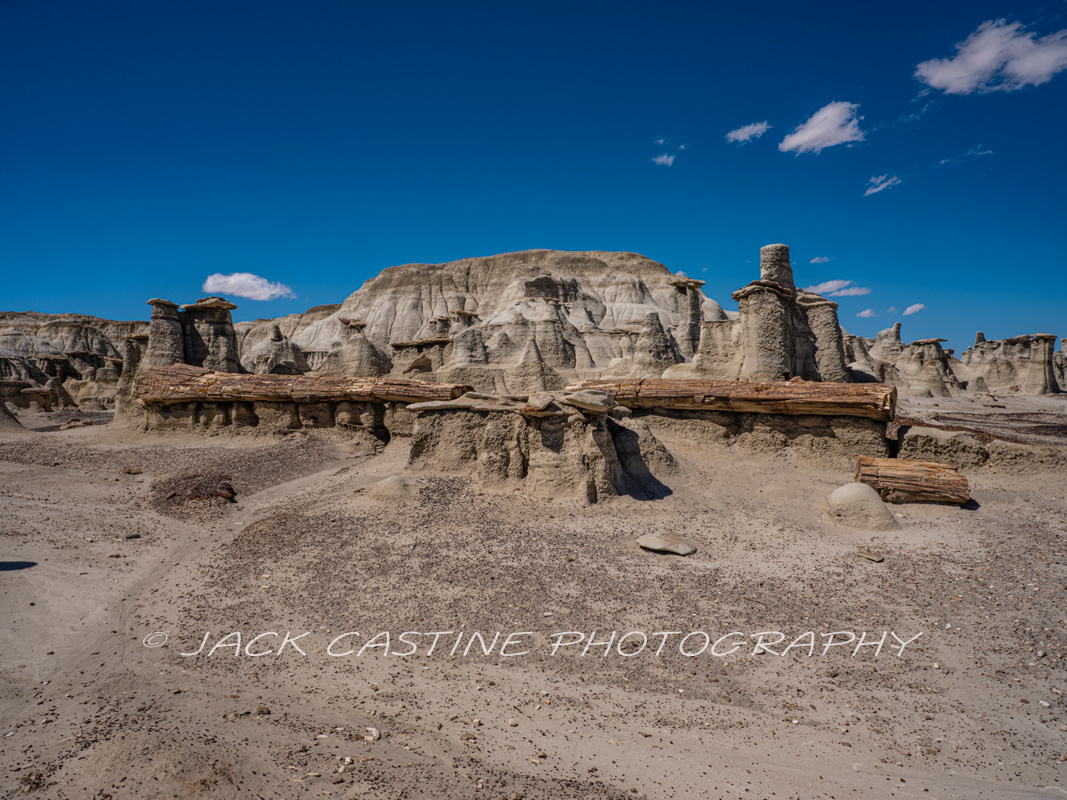  2019 09 21 - Petrified Wood and Hoodoos - Bisti Badlands/De-Na-Zin Wilderness - Bloomfield, NM 