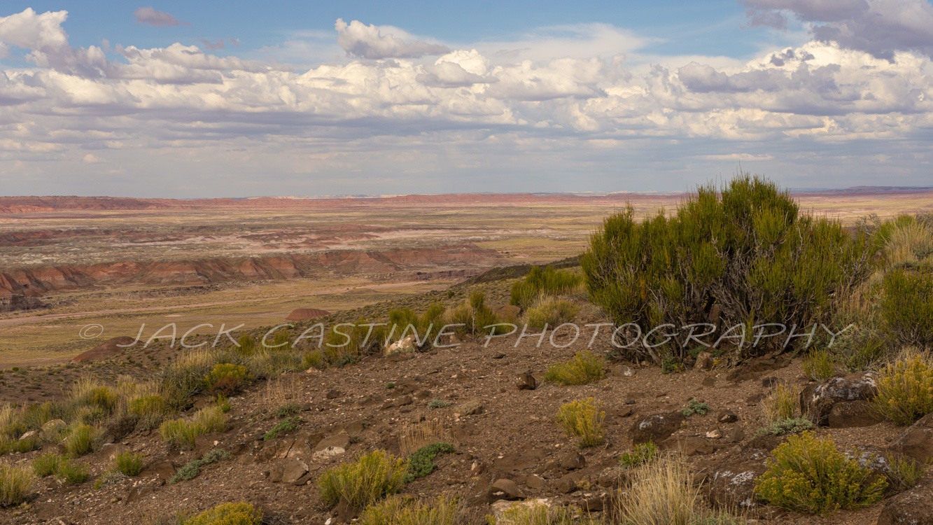  2016 10 28 - Pintado Point - Petrified Forest NP, AZ   