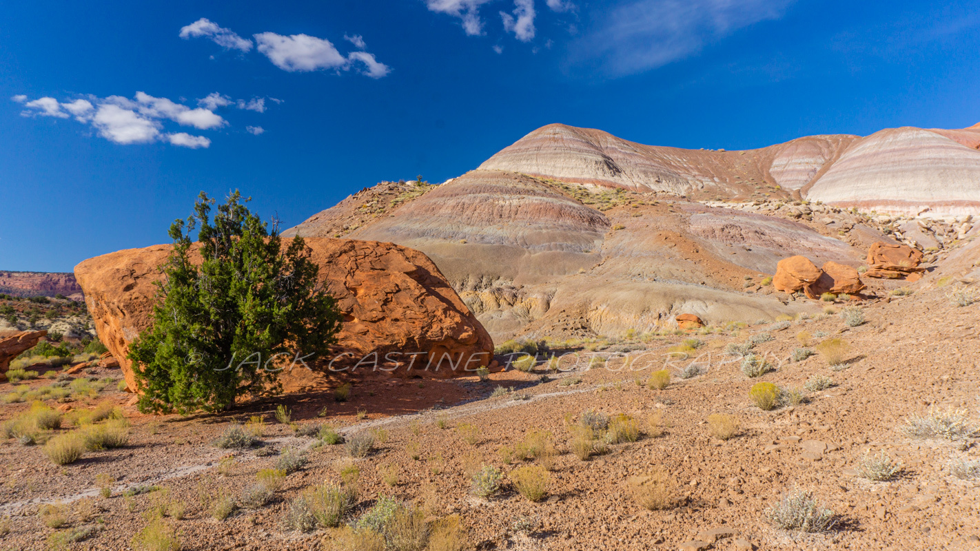  2016 11 06 - Juniper and Redrock - Pariah Town Site - Kanab, UT 