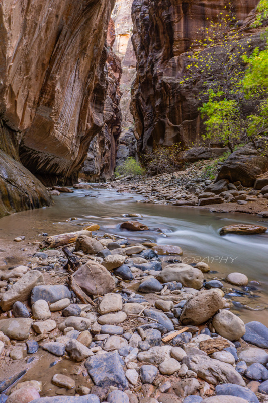  2016 11 09 - The Narrows of the Virgin River - Zion NP,  Springdale, UT 