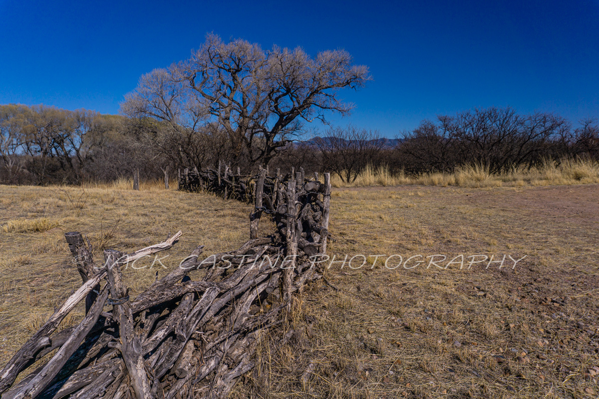  2018 03 05 - Empire Ranch Fence Row - Sonoita, AZ 