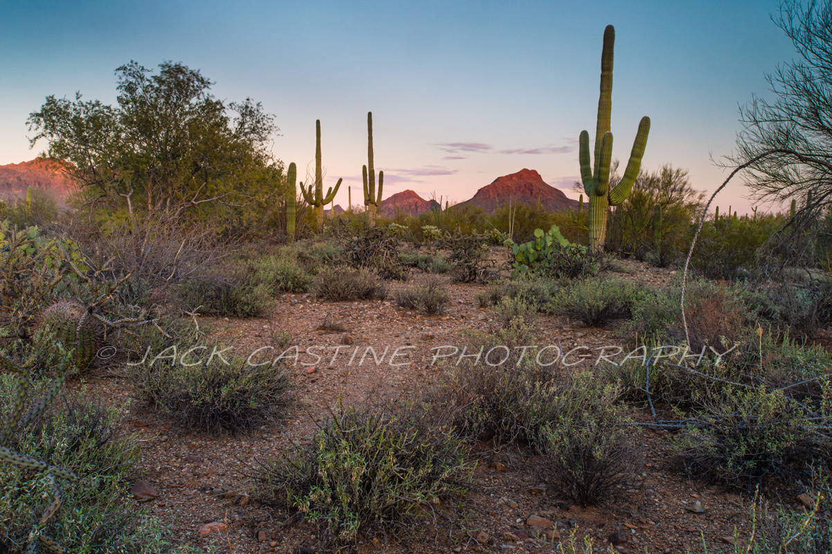  2018 03 06 - Tuscon Mountains fron the Brown Mountain Trail - Saguaro National Park - Tuscon, AZ 