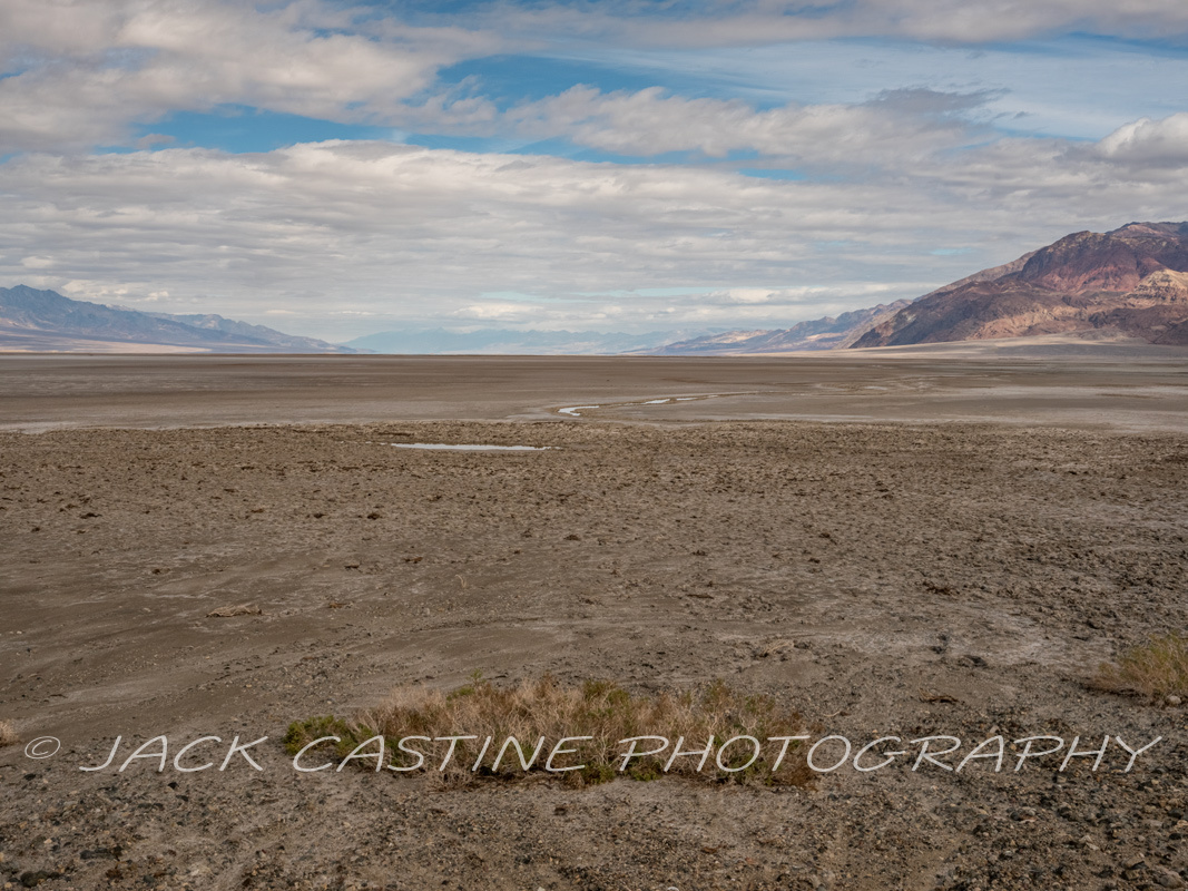  2023 03 06 - Amargosa River and Willow Creek Confluence  - Death Valley National Park, California 