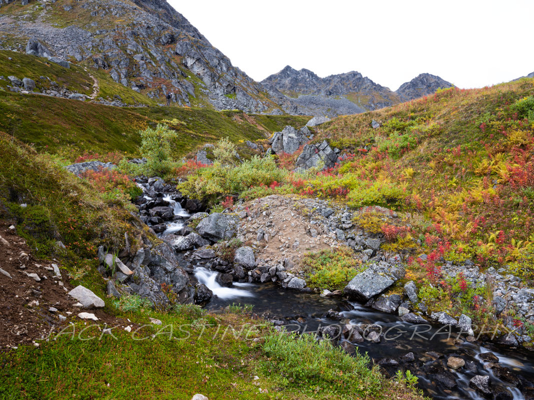  2021 09 03 - Fishook Creek - Independence Mine State Historical Park - Palmer, Alaska 