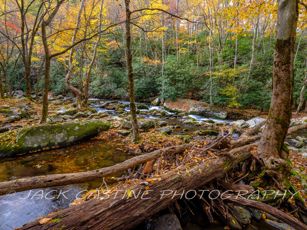  2021 11 03 - Middle Prong Little River - Smoky Mountains NP, Tennessee 