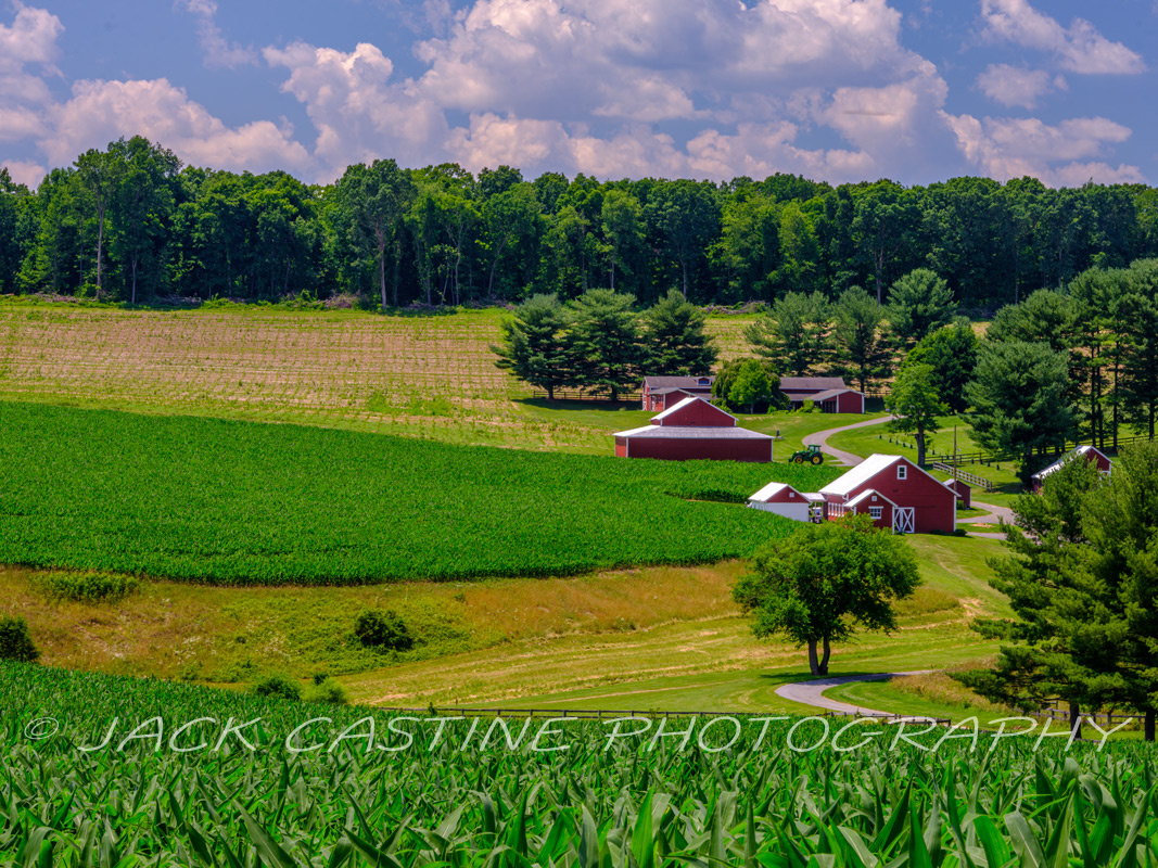  2022 06 25 - Farm - Frederick County, Maryland 