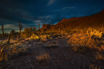  2018 03 03 - Sunset - Alamo Canyon - Organ Pipe Cactus National Monument - Ajo, Arizona 