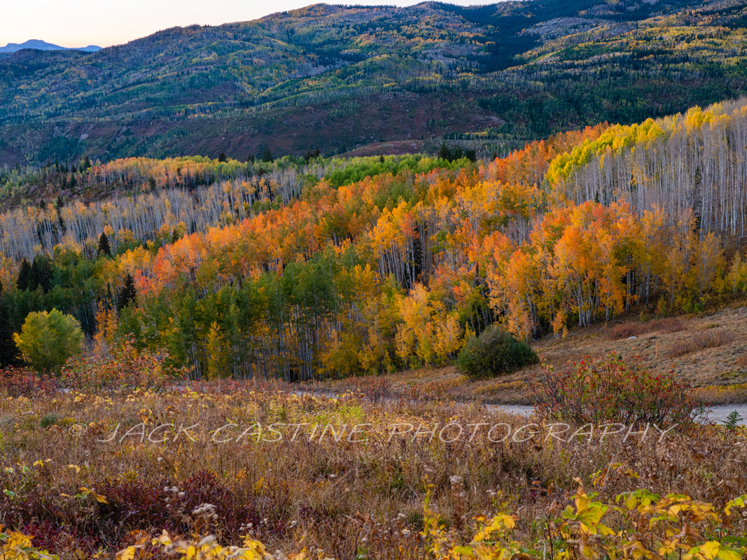  2018 09 21 - Fall Color - Buffalo Mountain Pass - Steamboat Springs, Colorado 