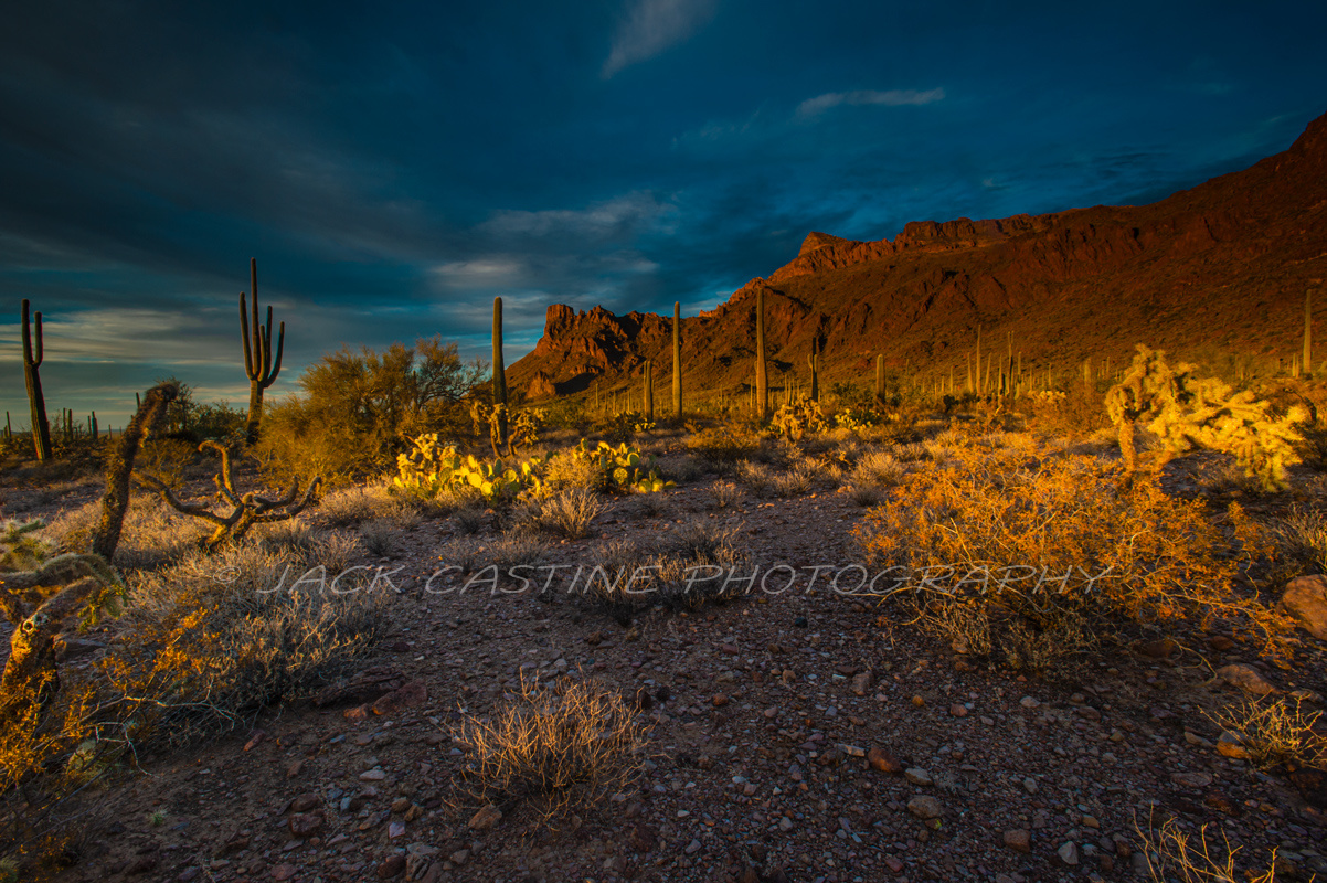  2018 03 03 - Sunset - Alamo Canyon - Organ Pipe Cactus National Monument - Ajo, Arizona 